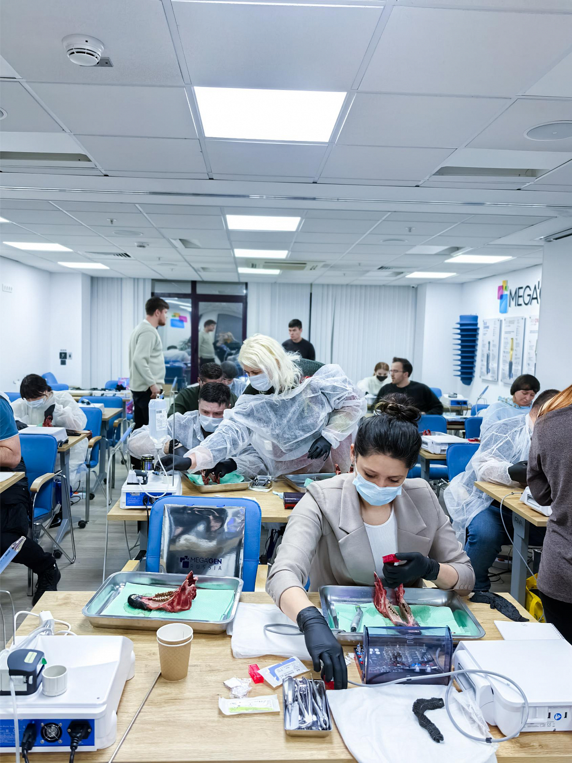 Одномоментная имплантация: от стабилизации к нагрузке