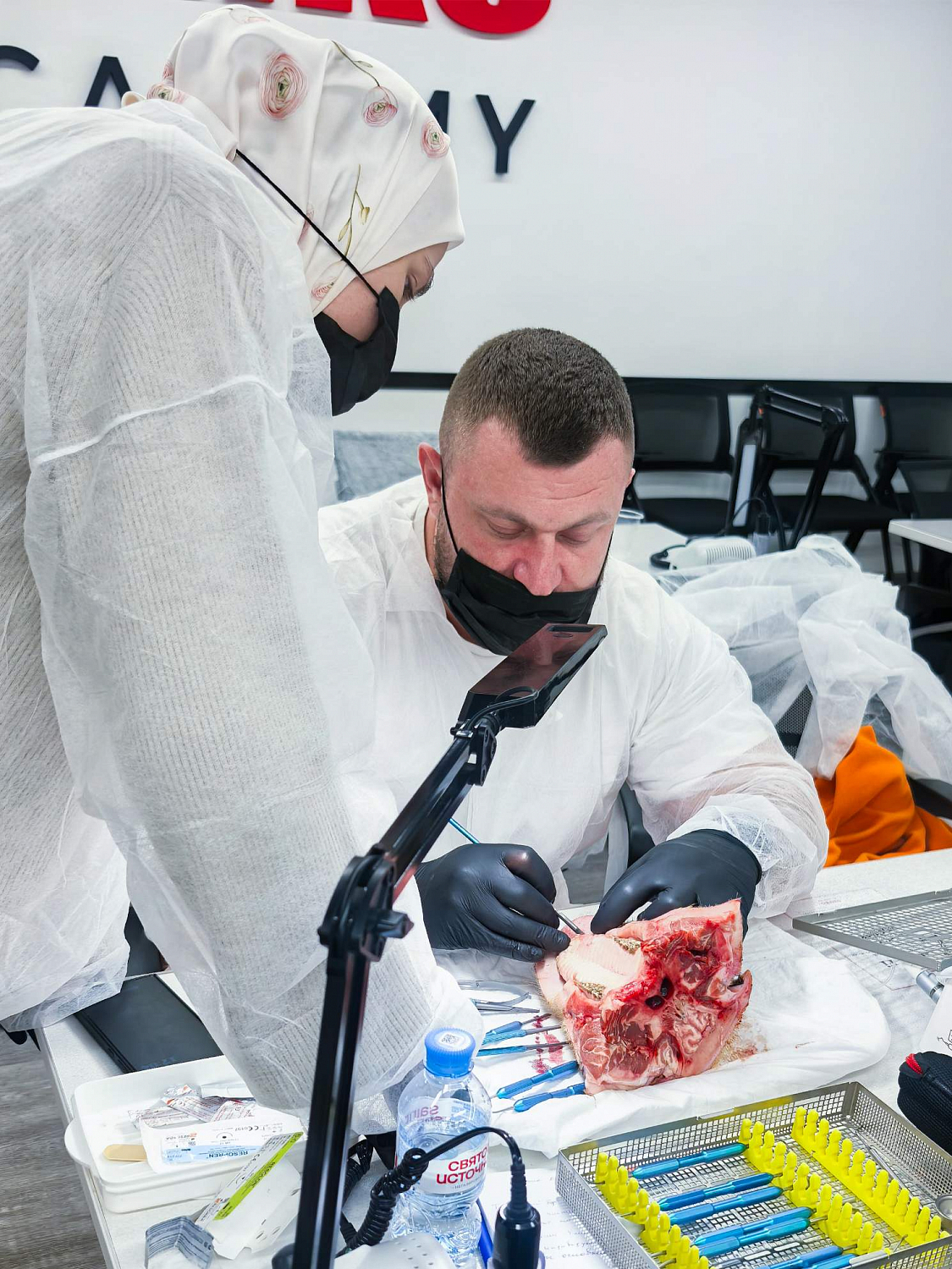 Эстетика начинается с десны: курс по пластике мягких тканей