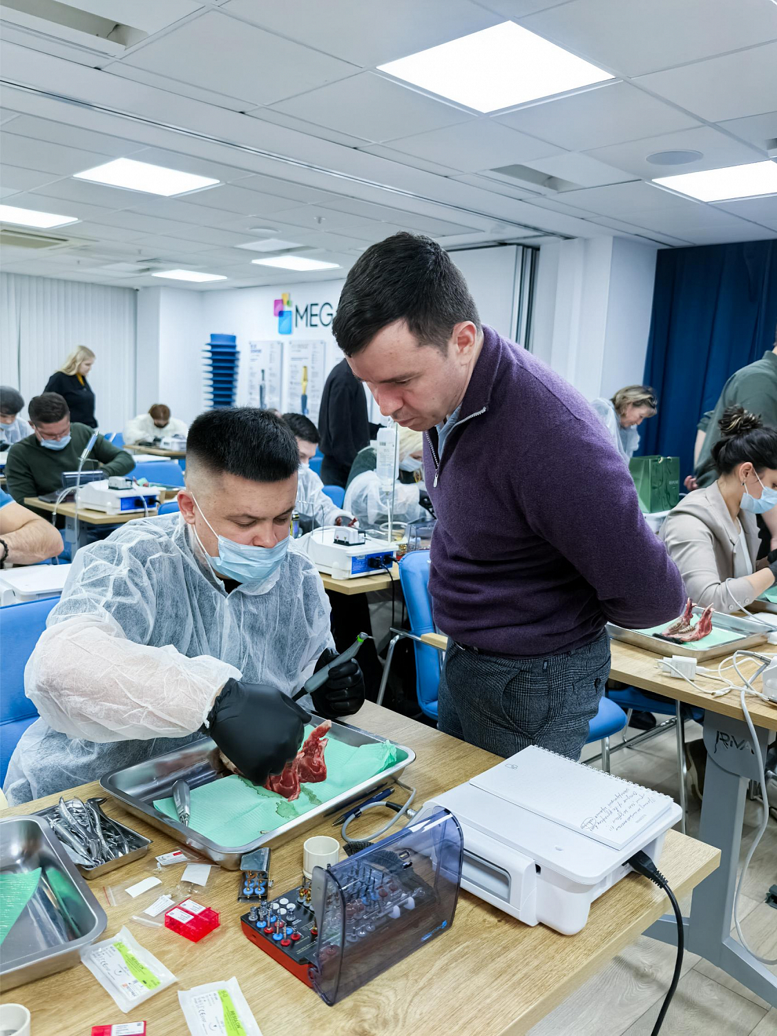 Одномоментная имплантация: от стабилизации к нагрузке