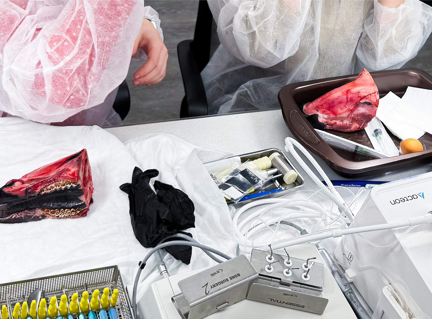 Синус-лифтинг от А до Я: отработка протокола на биофантомах и разбор клинических решений 