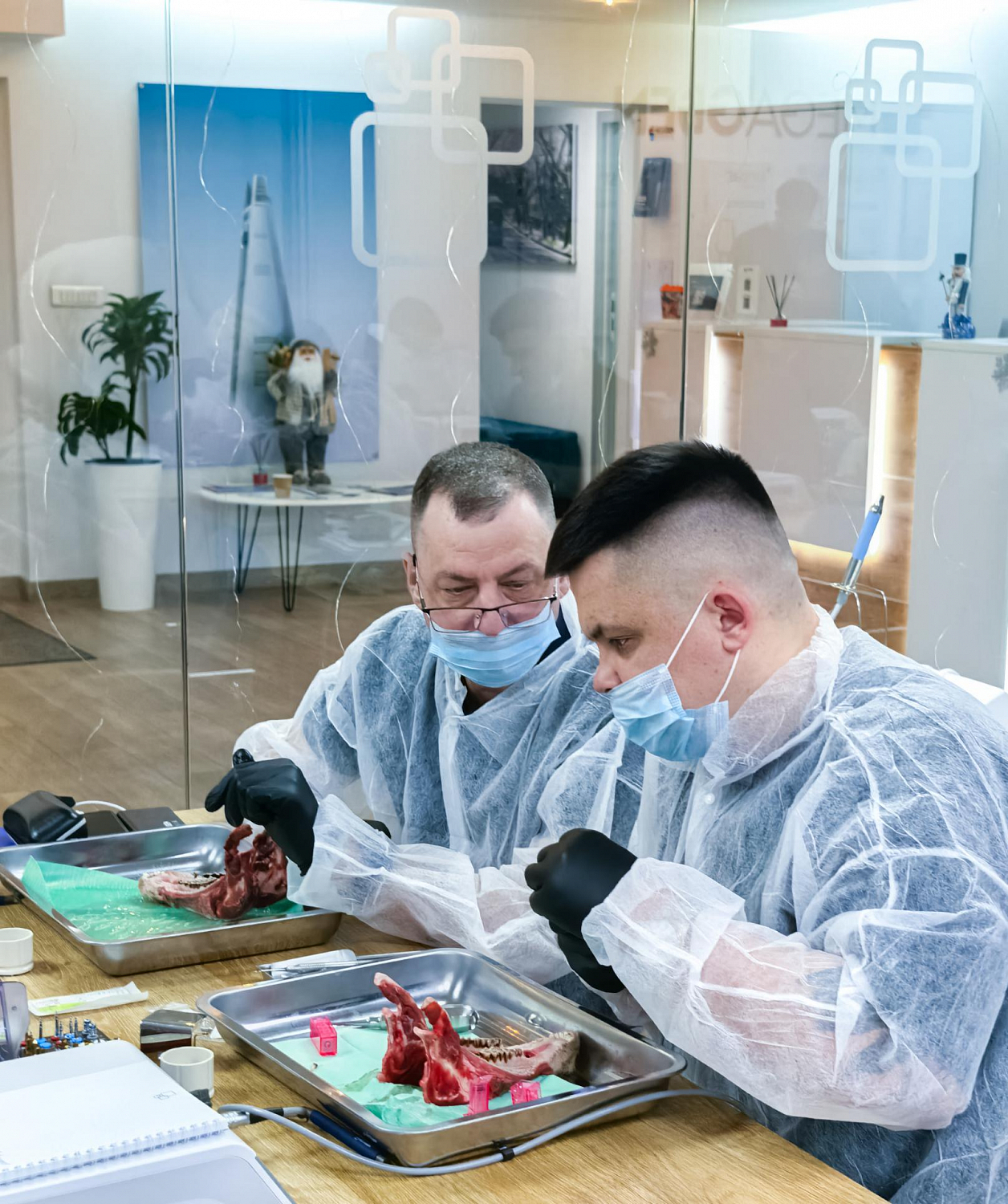 Одномоментная имплантация: от стабилизации к нагрузке