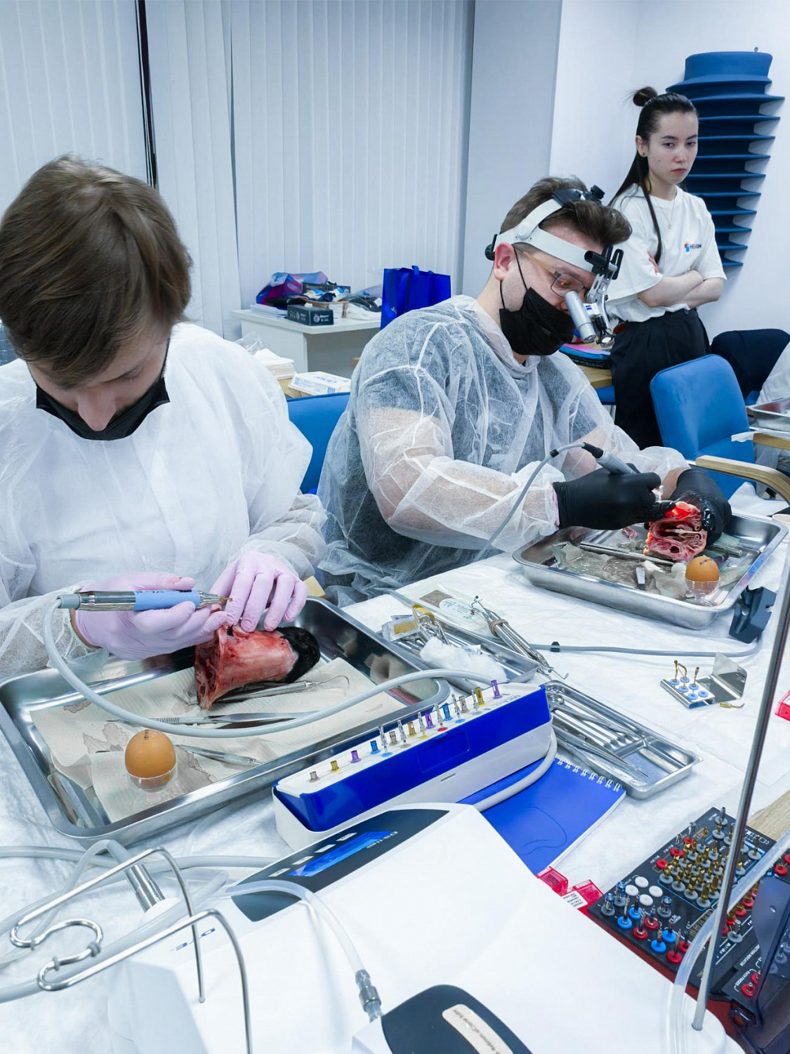 Два дня глубокой практики по костной пластике и синус-лифтингу