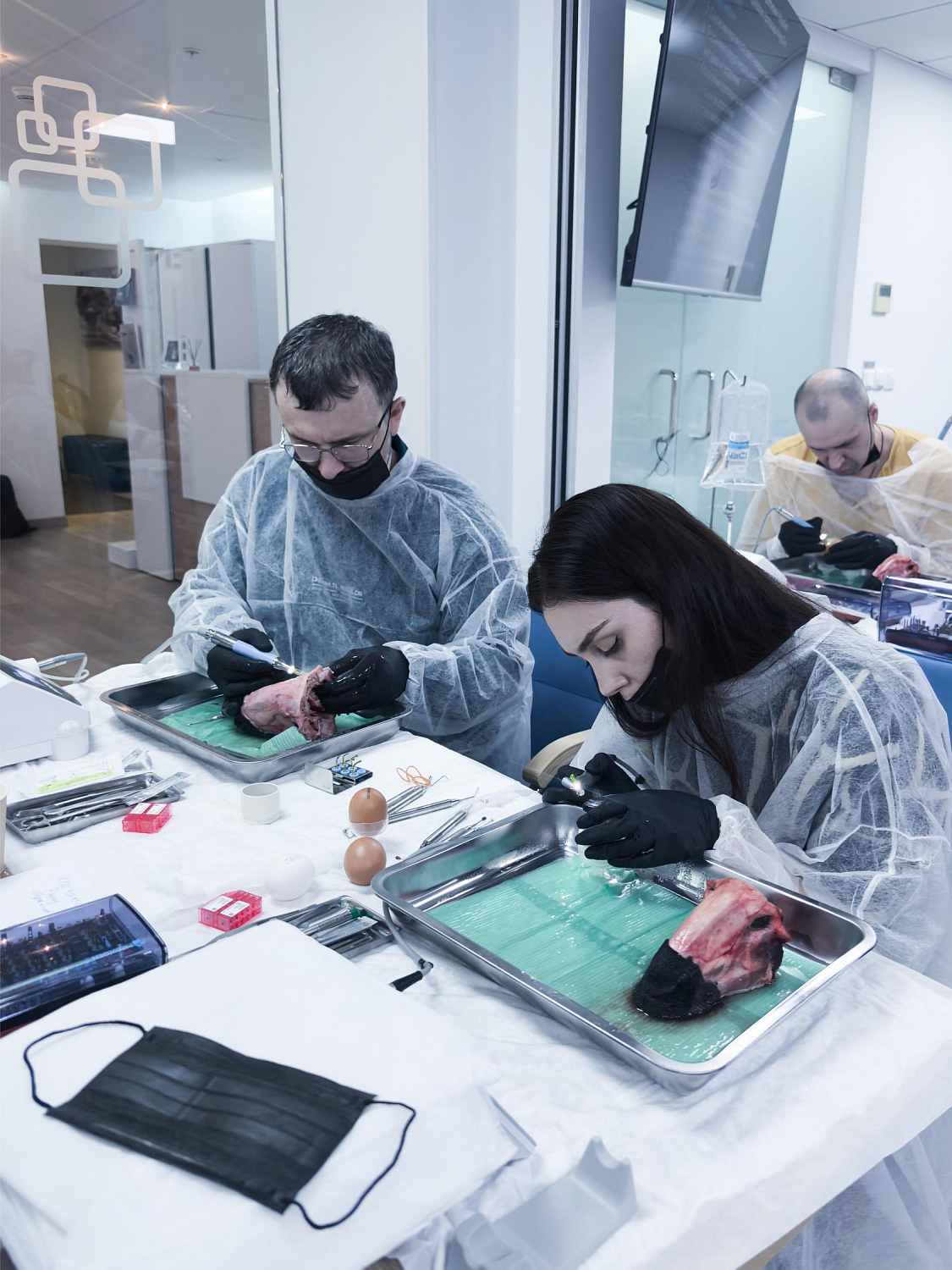 Два дня глубокой практики по костной пластике и синус-лифтингу