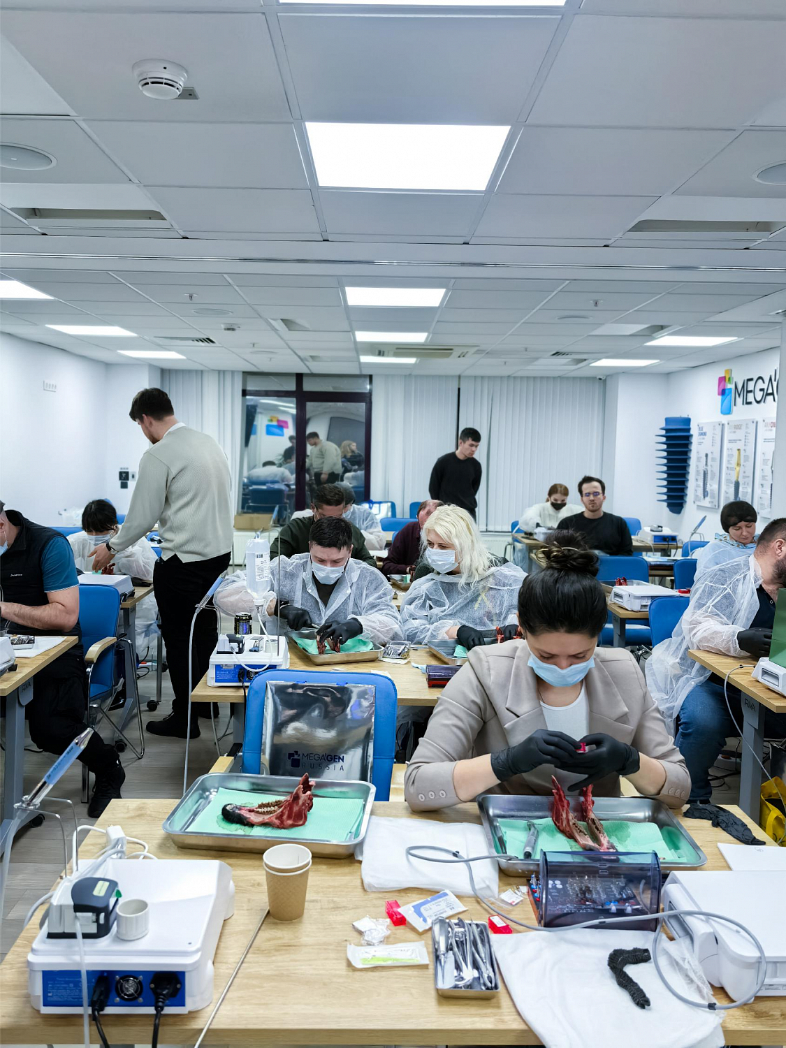 Одномоментная имплантация: от стабилизации к нагрузке