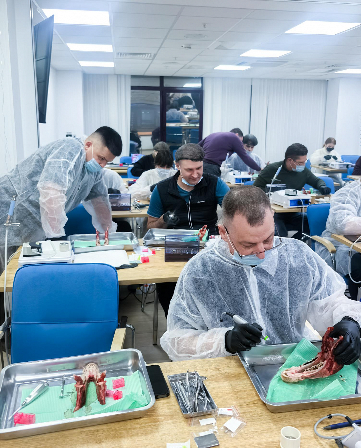 Одномоментная имплантация: от стабилизации к нагрузке