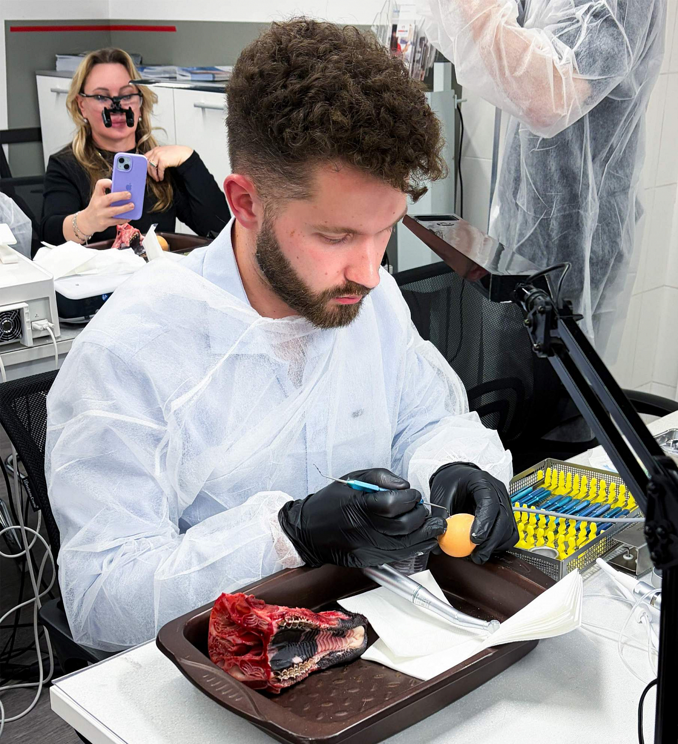 Синус-лифтинг от А до Я: отработка протокола на биофантомах и разбор клинических решений 