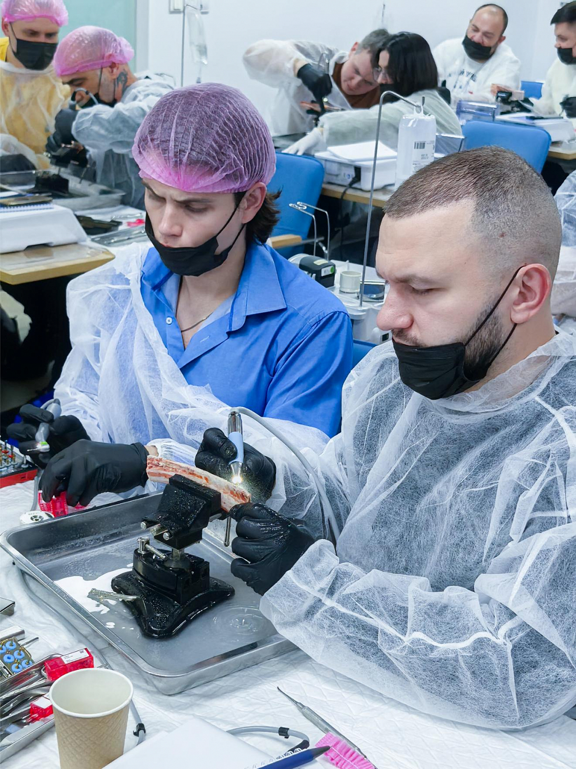 Два дня глубокой практики по костной пластике и синус-лифтингу