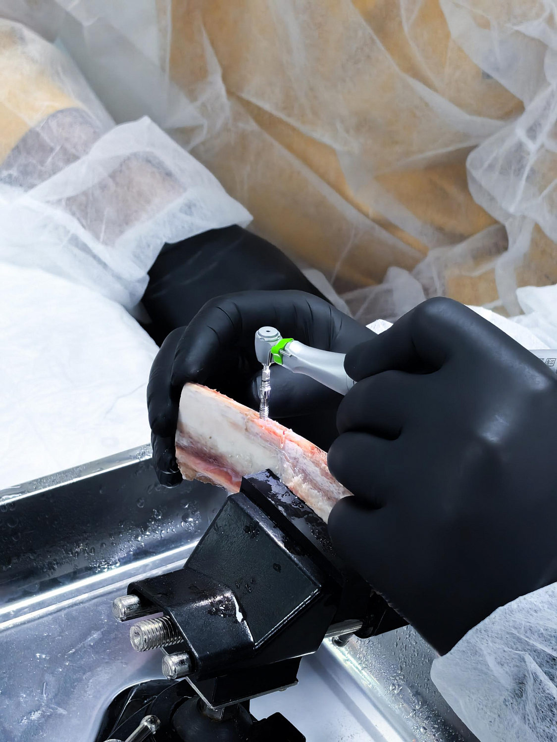 Два дня глубокой практики по костной пластике и синус-лифтингу