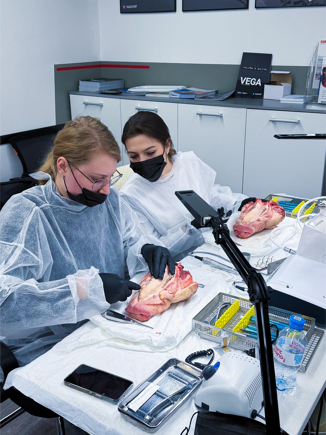 Удалить зуб и сохранить лунку: как проходит малотравматичная хирургия  