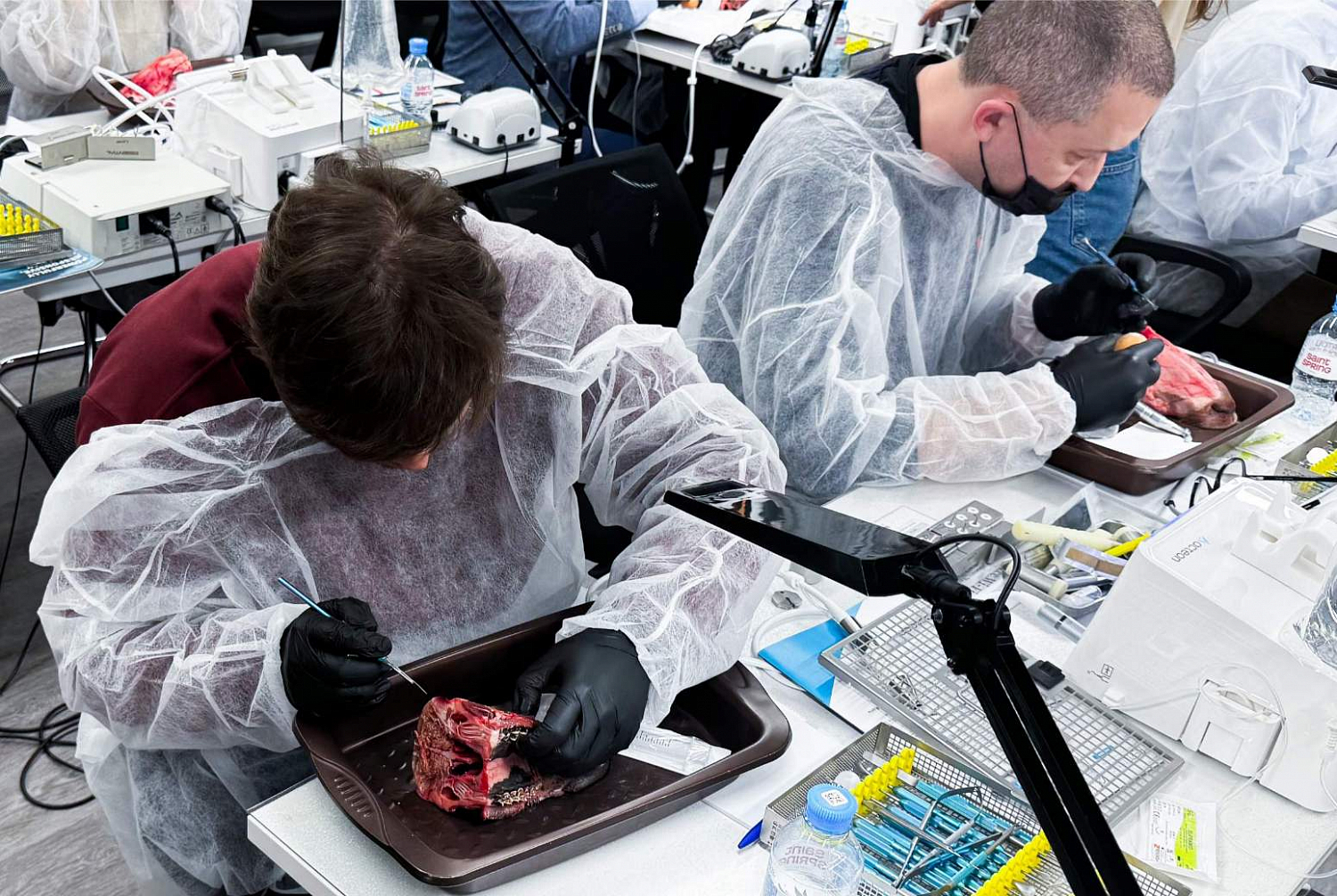 Синус-лифтинг от А до Я: отработка протокола на биофантомах и разбор клинических решений 