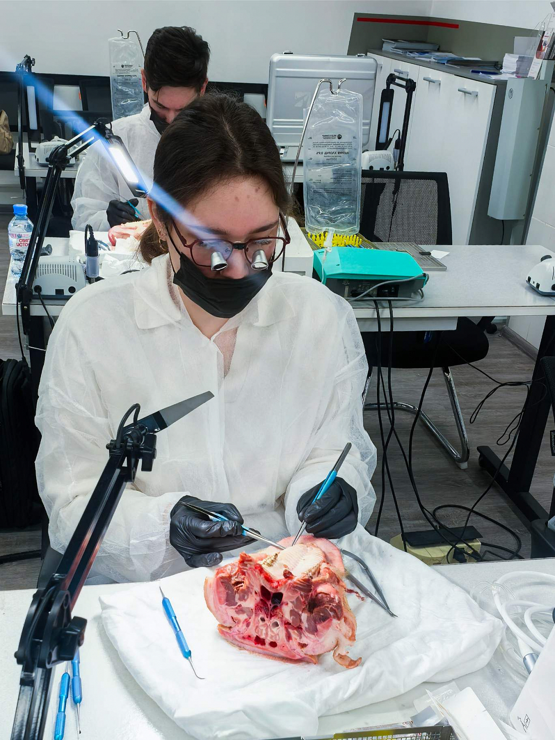 Эстетика начинается с десны: курс по пластике мягких тканей